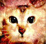 Screenshot_20250622-223254