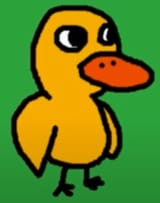 duck