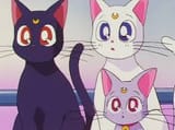 images (28)
