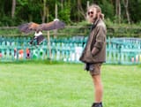 falconer