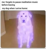 1682350951003751