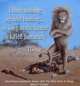 I have nothing against hunting