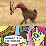 nature is so fascinating