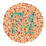 Screenshot 2025-06-28 at 00-59-35 Ishihara Test
