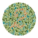 Screenshot 2025-06-28 at 01-00-20 Ishihara Test