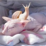 lyran brain slug