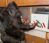 images-89