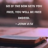 John 8 36
