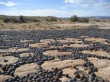 Utah Moqui Marbles