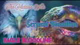 maxresdefault-3415925567