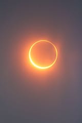 IMG_1207