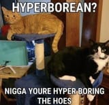 Hyperborean_cats