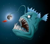 angler fish