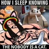 nobodyisacat