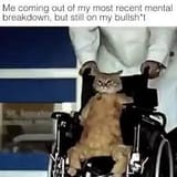 1730240822973032