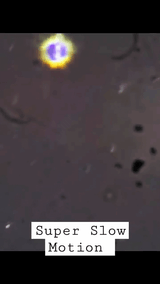 3-211_1