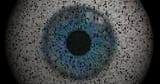 1a-big-brother-is-watching-you-451806115