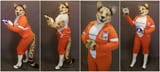 Furfags