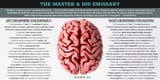 Sloww-Master-Emissary-Brain-Hemispheres-Infographic