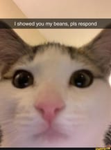 1751247096556615