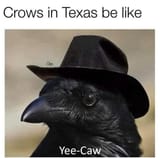 yee-caw