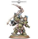 typhus