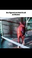 Thread 40630158 OP Image