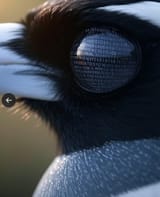 Screenshot_20250629_203254_X~3