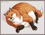 images (26)
