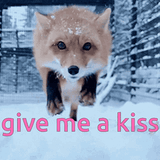 fox-kisses