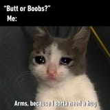catarmshug