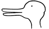 wittgenstein-duck-rabbit-image