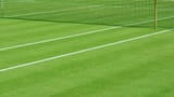 grass