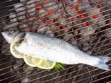 shut_up_fish