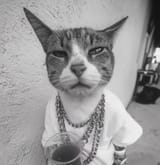 Meowmix