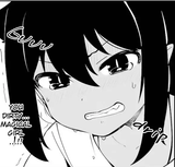 243