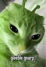 ima