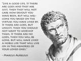 gods