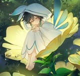 fae venti