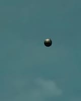 Orb spotted in Bangkok