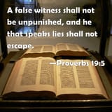 A false witness shall not be unpunished