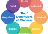 8-Dimensions-of-Wellness-943x675