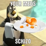your meds schizo
