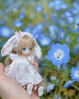 cutedollblueflowers