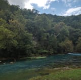 lifenature