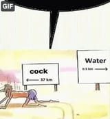 cockwater