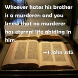 1 John 3 15