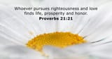 Proverbs 21 21