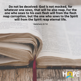 whatever one sows, that will he also reap