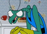 zorak